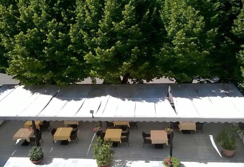 فندق Du Parc