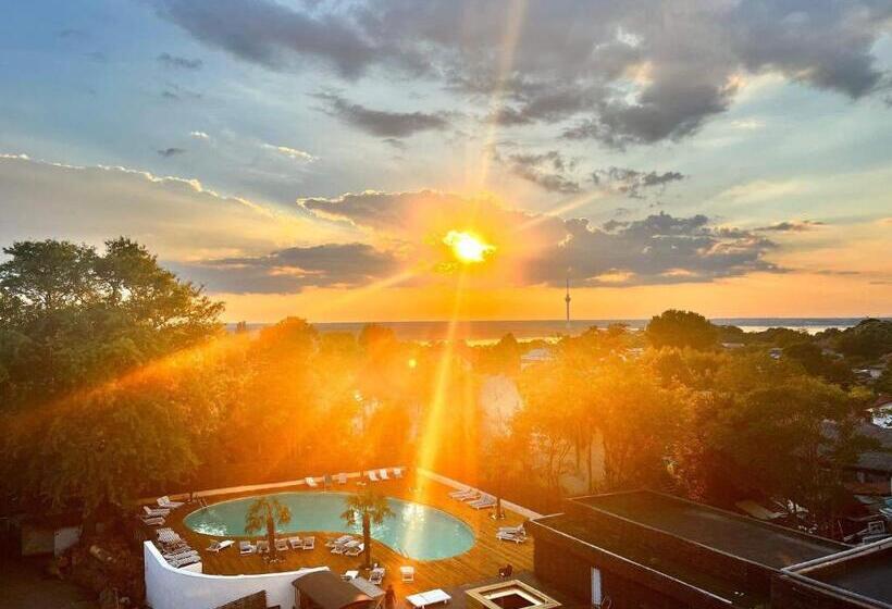 هتل Mojo Resort