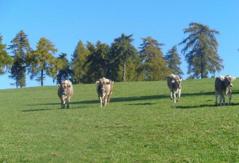 בית מלון כפרי Pitterle Hof