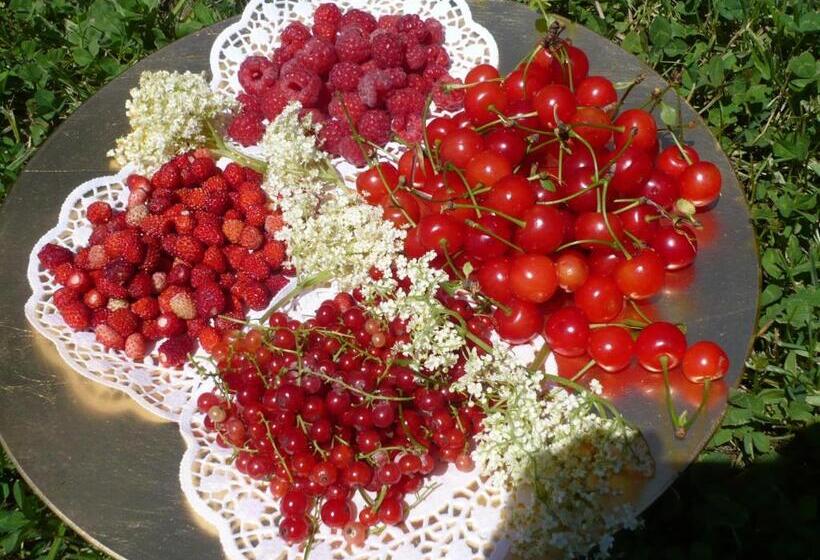 فندق Podere Marroneto