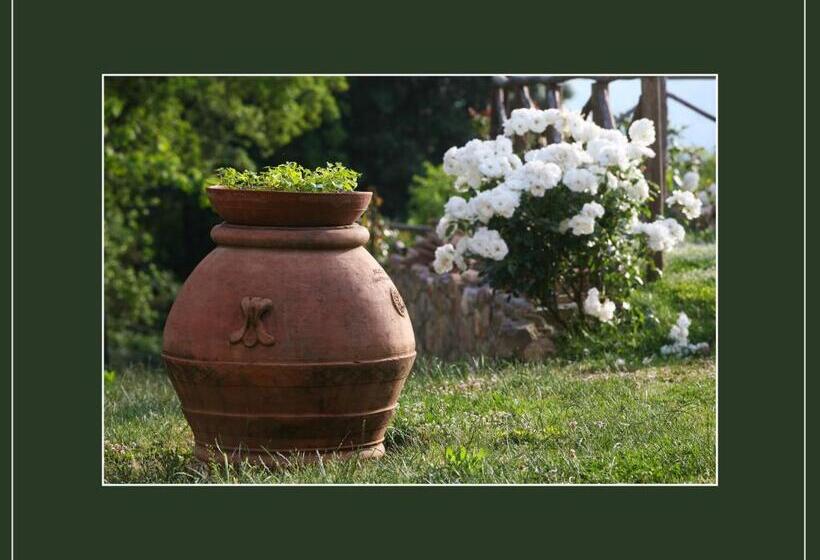 فندق Podere Marroneto