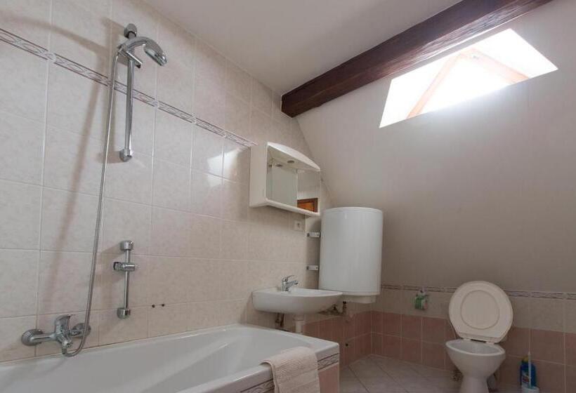 펜션 čapkův Statek