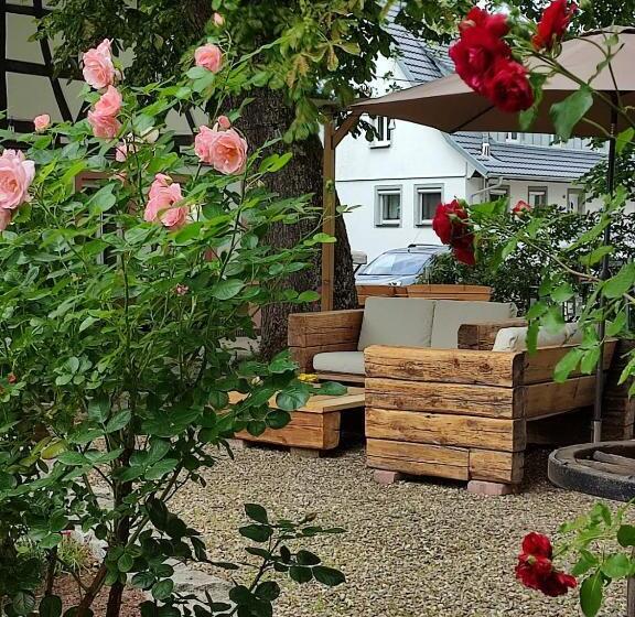 بنسيون Boutique Hotel Krone