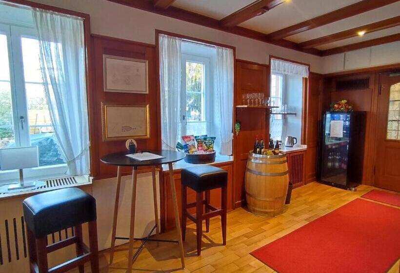 بنسيون Boutique Hotel Krone