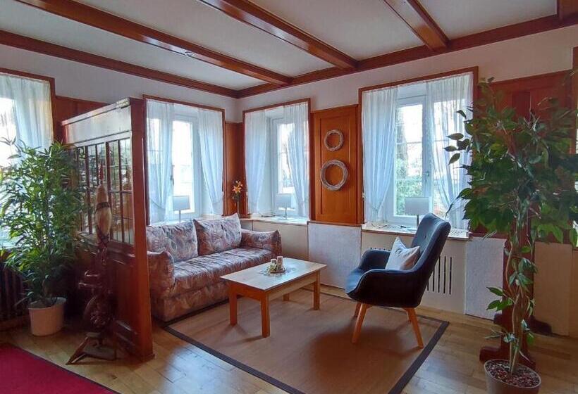 بنسيون Boutique Hotel Krone