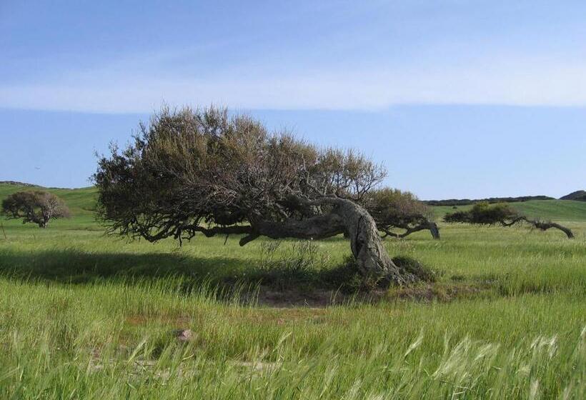 膳宿费 B&b Domus Oriens   Monolocale Indipendente In Villa