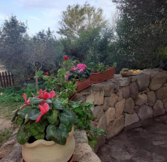 פנסיון B&b Domus Oriens   Monolocale Indipendente In Villa