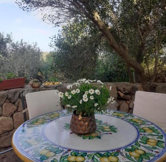 פנסיון B&b Domus Oriens   Monolocale Indipendente In Villa