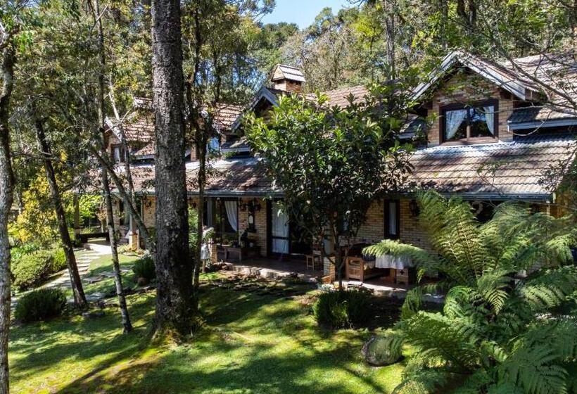 ペンション Estalagem Coração Da Mata