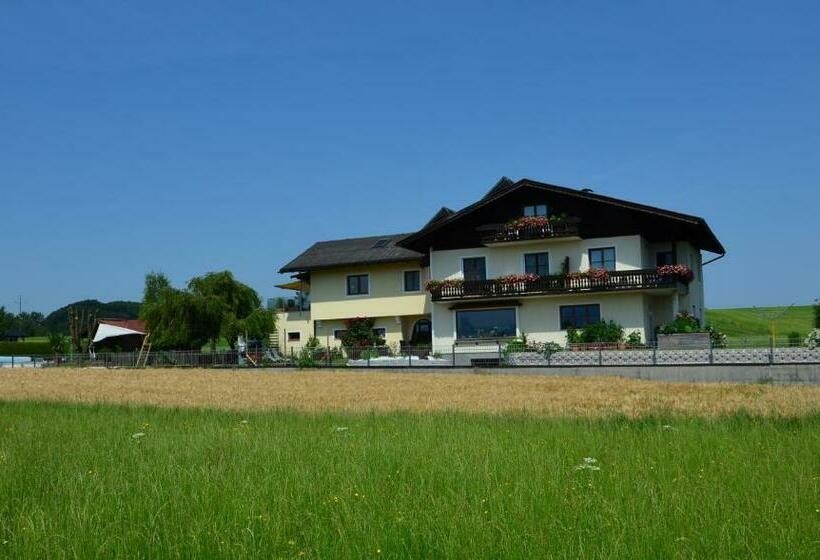 膳宿费 Haus Gruber