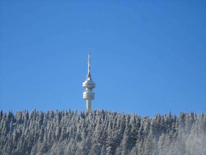 膳宿费 Kris Guesthouse