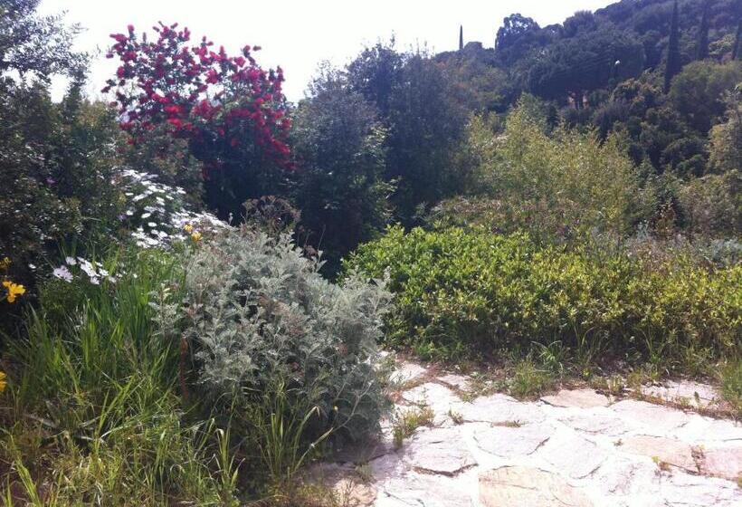 펜션 Les Iles D Or