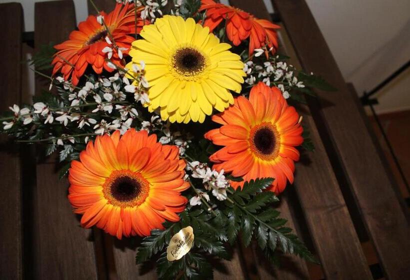 ペンション Piccola Perla Guest House