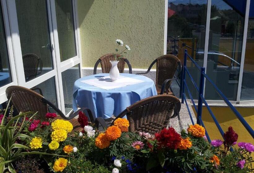 Пансион Plexus Boutique