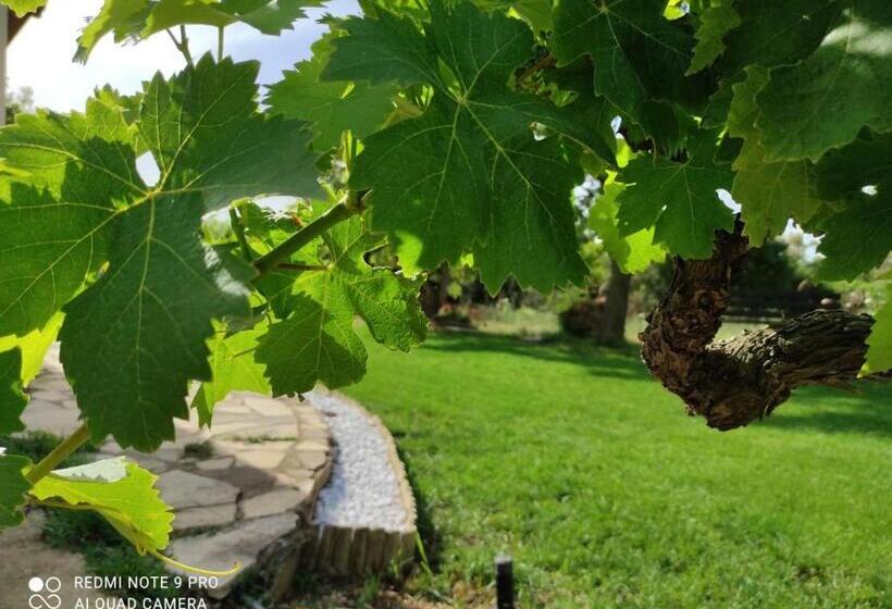 Пансион S Istentale