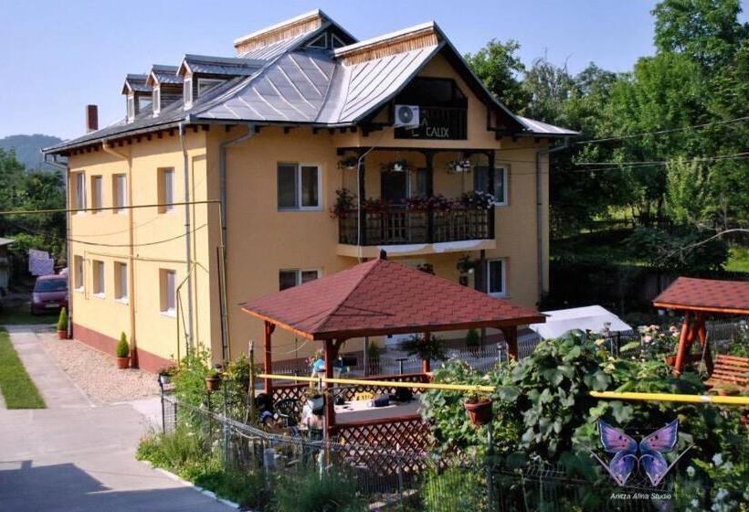 펜션 Vila Calix