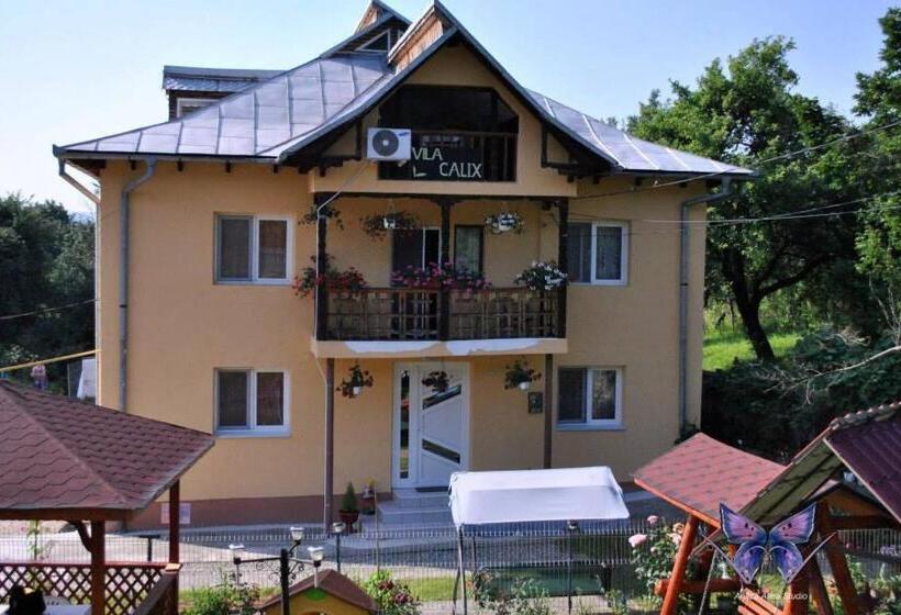 펜션 Vila Calix