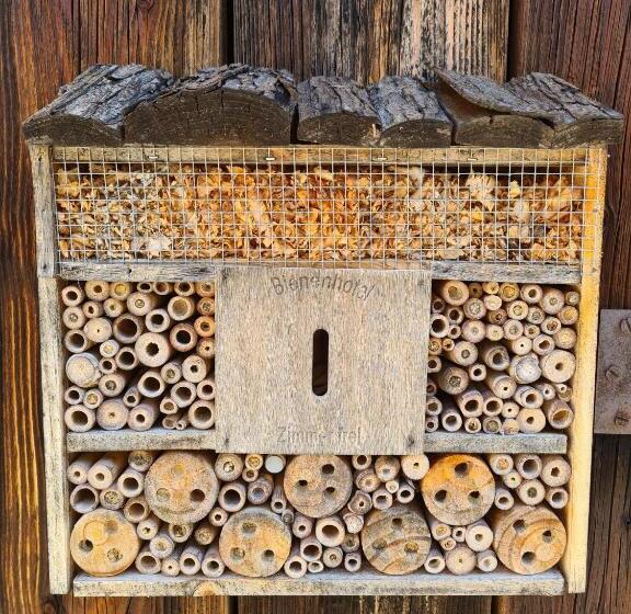 پانسیون Vila Gorenka