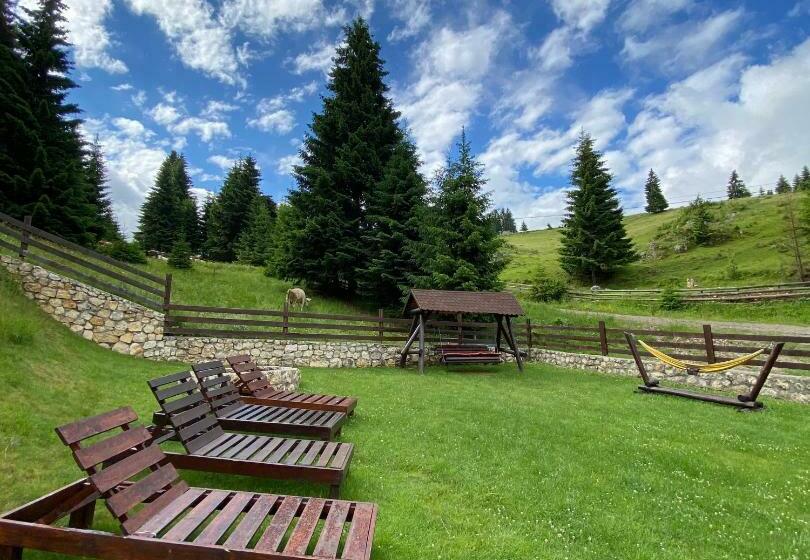 Pensiunea Poienita Ursului