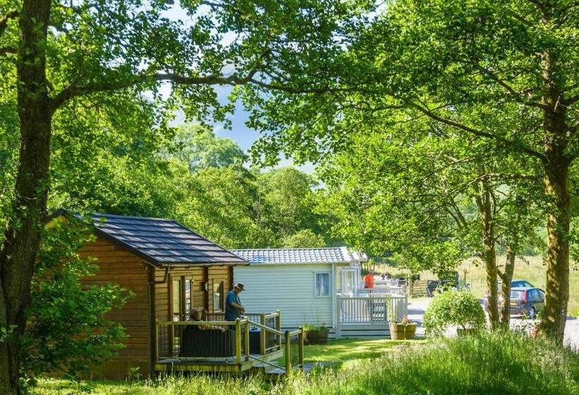 Курорт Heart Of Glencoe Holidays