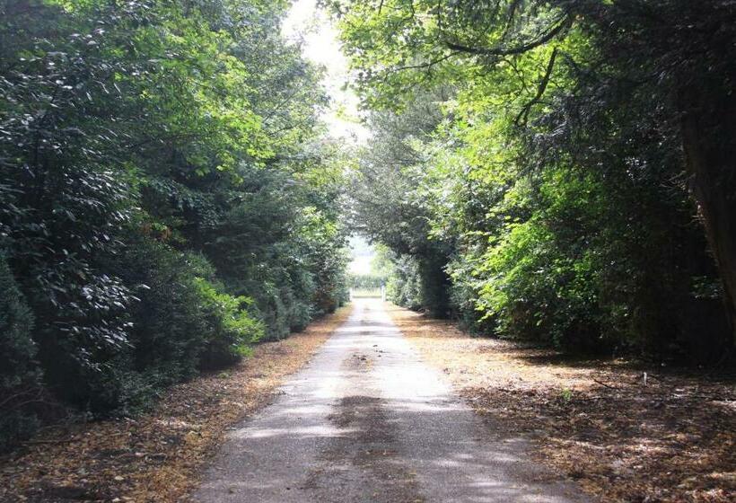 The Manor House Bed And Breakfast