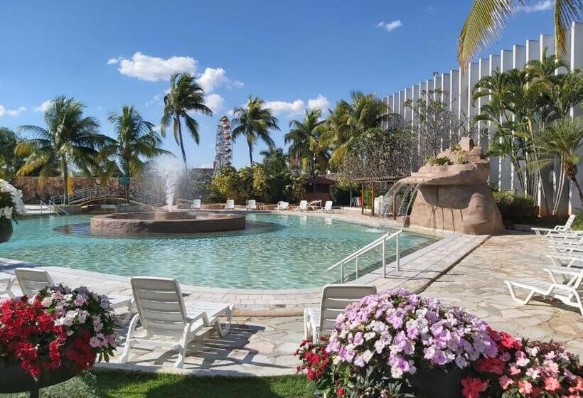 Adtur Flats Ctc   Condomínio Saphire Ou Center Caldas