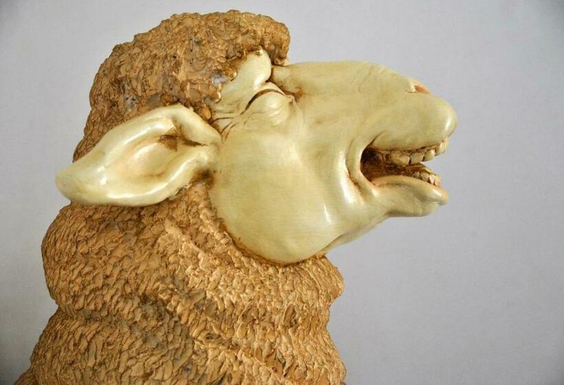 B&b Hoeve De Schapenkop