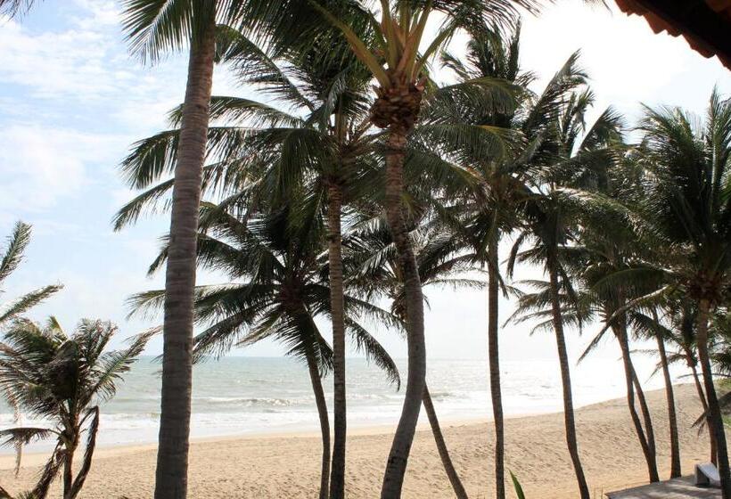 تختخواب و صبحانه Itacupa   Healthy Vegan & Foil Center