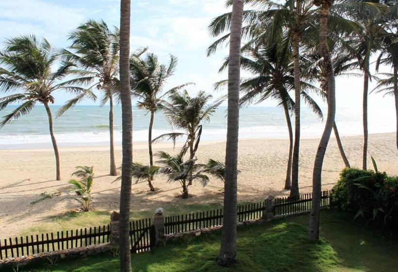 تختخواب و صبحانه Itacupa   Healthy Vegan & Foil Center