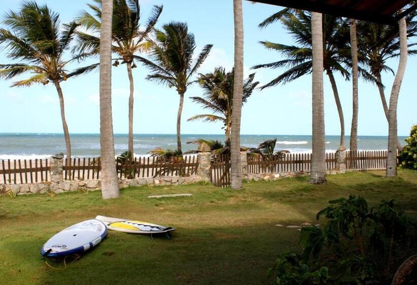 تختخواب و صبحانه Itacupa   Healthy Vegan & Foil Center