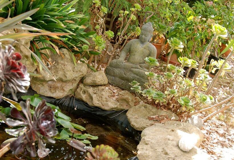 مبيت وإفطار South Beach Haven