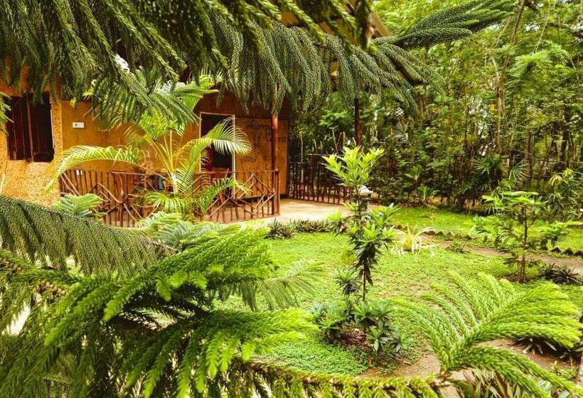 住宿加早餐  Walampuri Cabana & Restaurant