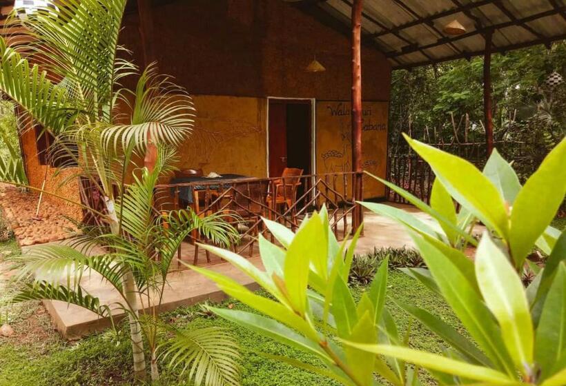 住宿加早餐  Walampuri Cabana & Restaurant