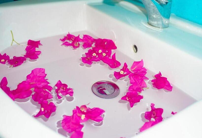 住宿加早餐  Walampuri Cabana & Restaurant