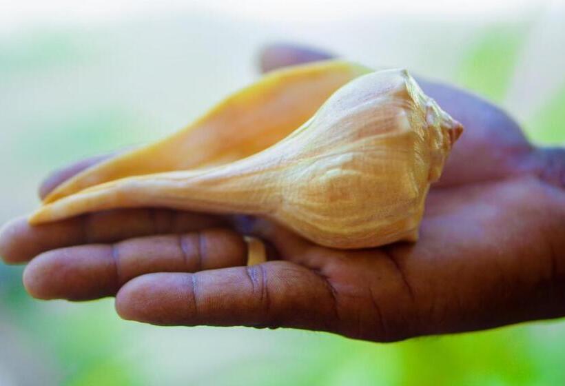 住宿加早餐 Walampuri Cabana & Restaurant