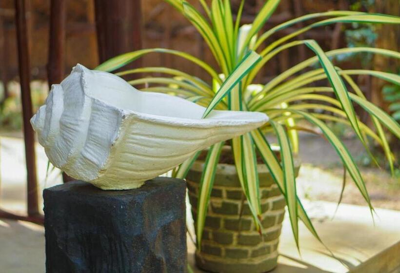 住宿加早餐  Walampuri Cabana & Restaurant