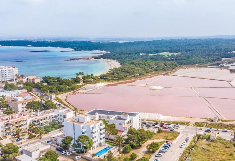 호텔 Apartamentos Andreas