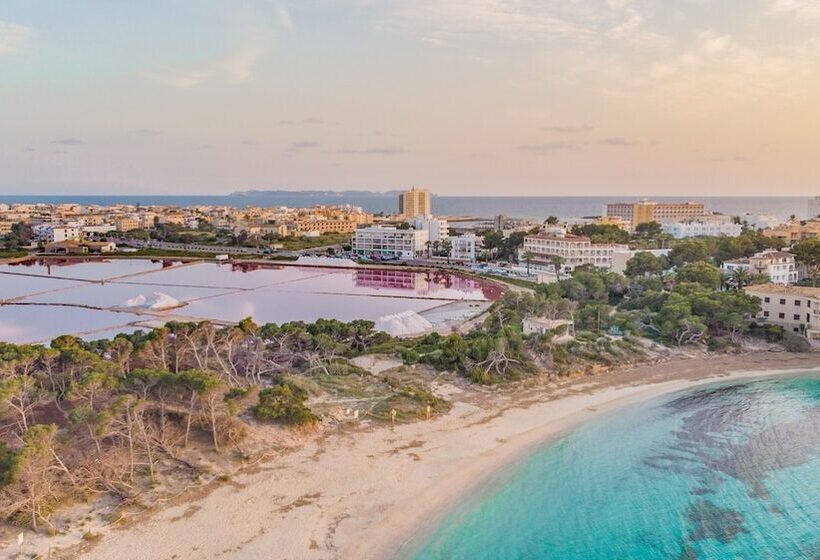 호텔 Apartamentos Andreas