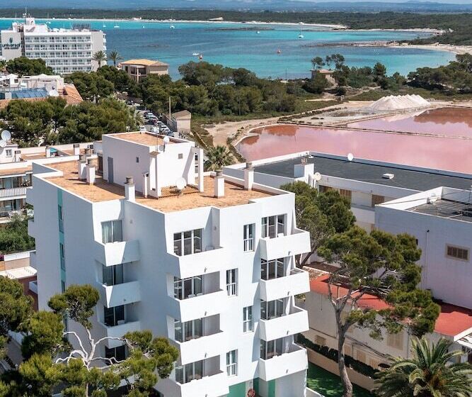 호텔 Apartamentos Andreas