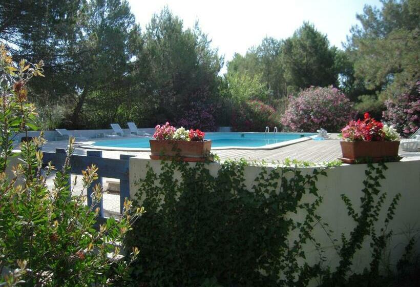 膳宿费 Manade Cavallini   Mas De Pioch