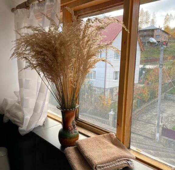 پانسیون Sadyba Girske Povitria