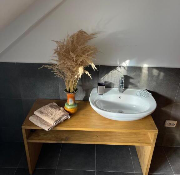 پانسیون Sadyba Girske Povitria