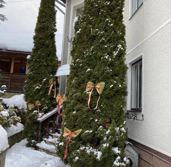 پانسیون Sadyba Girske Povitria