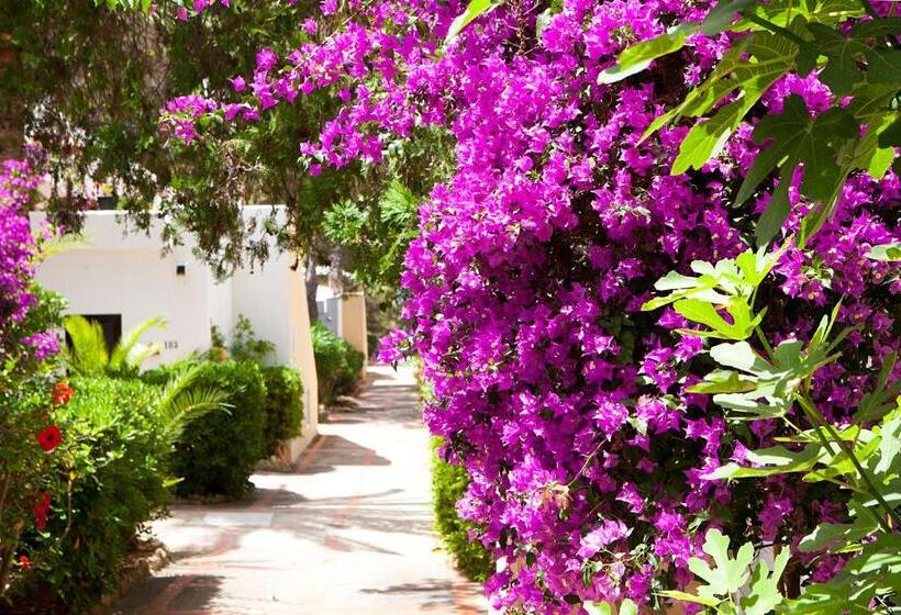 Курорт Apartamentos Club Cala Azul