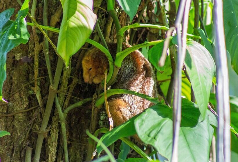 Finca Chica Lodge & Villas