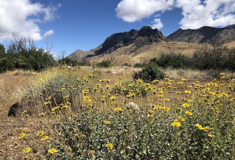 모텔 Piazza S Pine Cone Inn