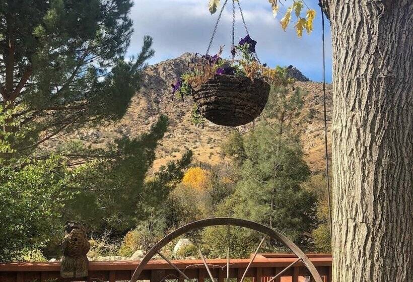 모텔 Sequoia Lodge