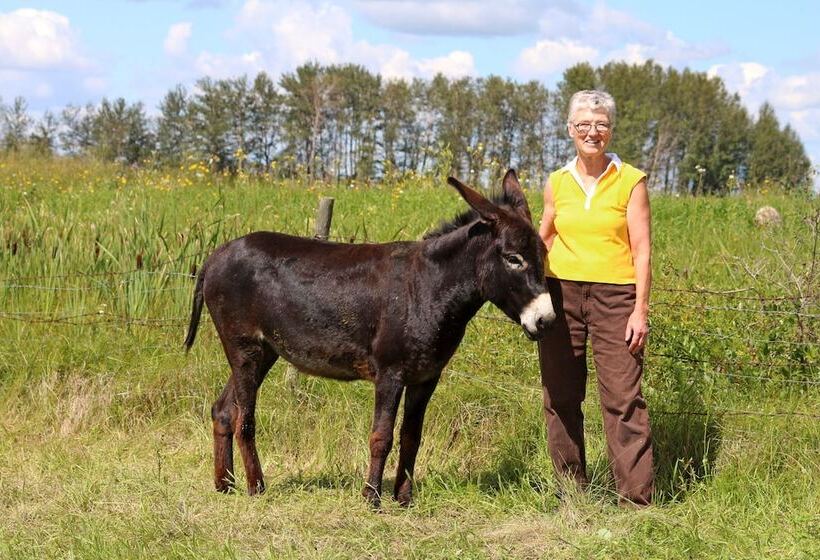 Fairmount Bed & Breakfast