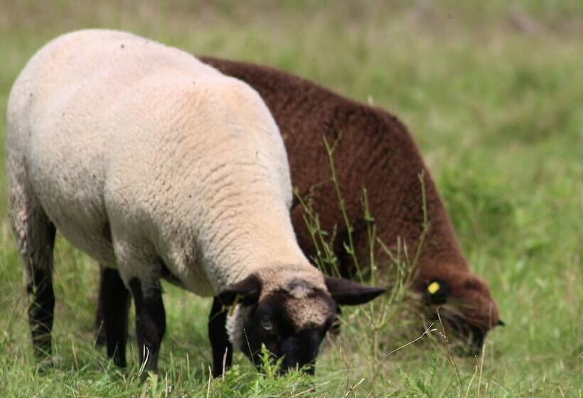 Fairmount Bed & Breakfast