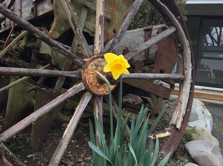 Geraldine Top 10 Holiday Park